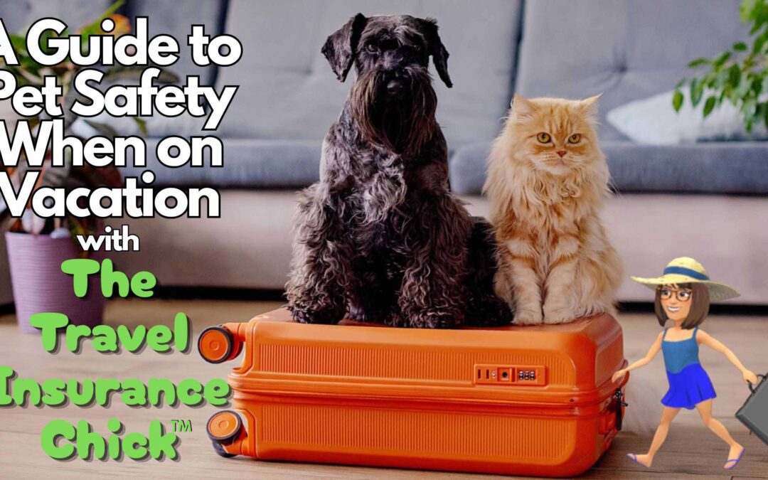 A Guide to Pet Safety When on Vacation
